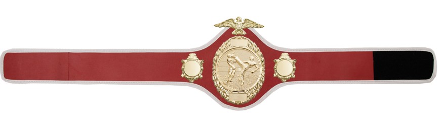 KICKBOXING CHAMPIONSHIP BELT-PRO288/G/KBOG - 10 COLOURS KICKBOXING CHAMPIONSHIP BELT-PRO288/G/KBOG - 10 COLOURS